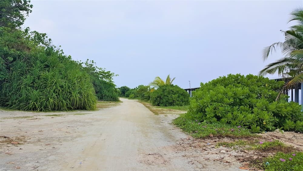 Explore Island Inn - View 8