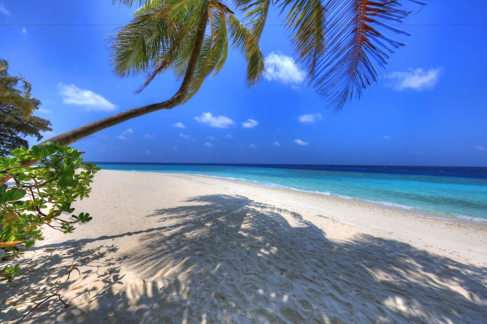 Koimala Hotel - View 1