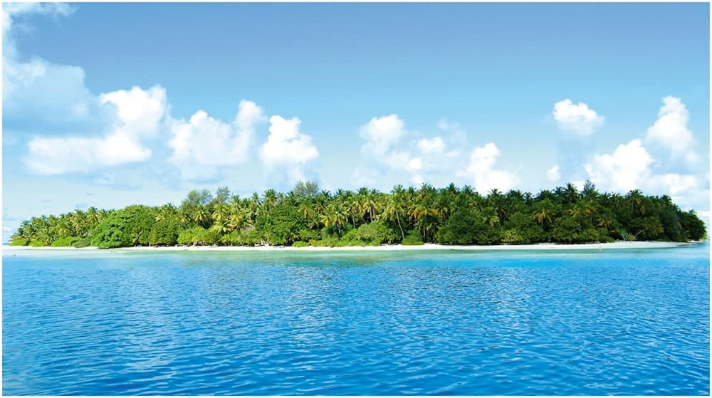 Biyadhoo Island Resort - View 11