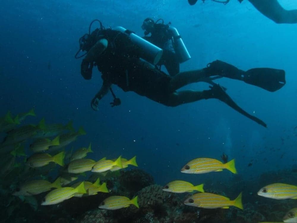 BEACH PALACE HOTEL - View 27