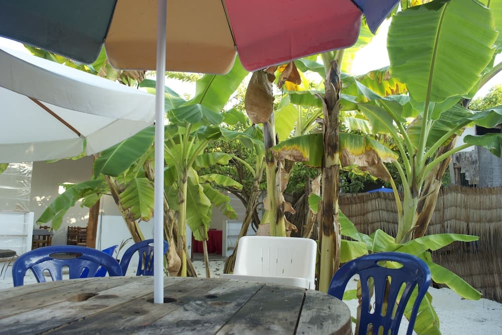 Beach Heaven Maldives - Golden Turtle Guest House - View 8