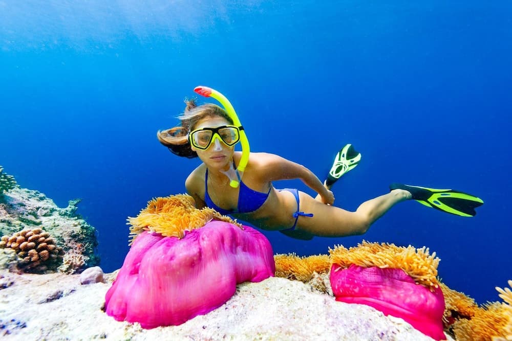 Cocoon Maldives - View 63