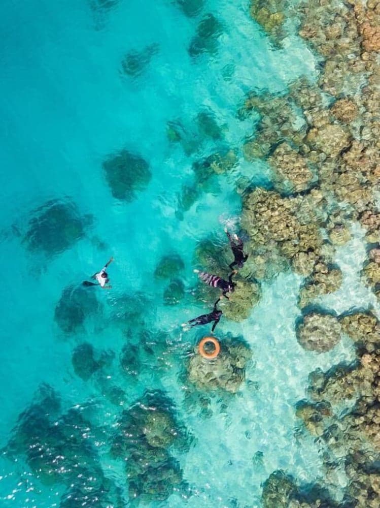 One The Island - View 32