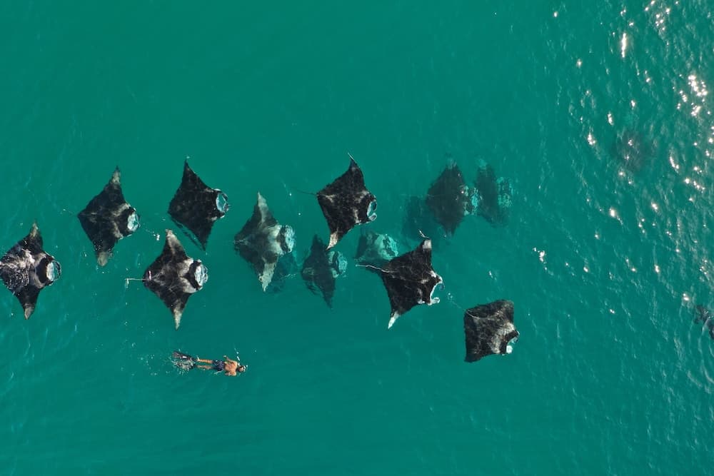 Thundi village and spa - View 24