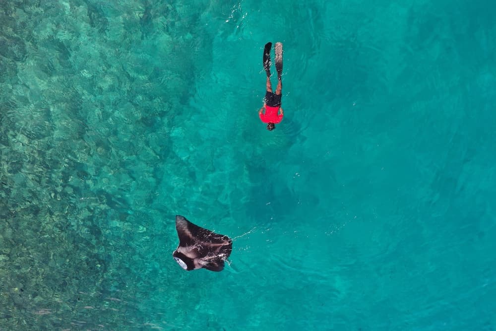 Thundi village and spa - View 21