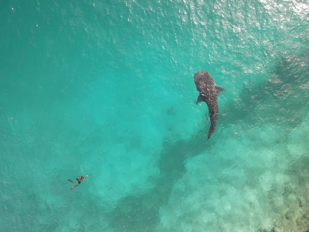 Thundi village and spa - View 23