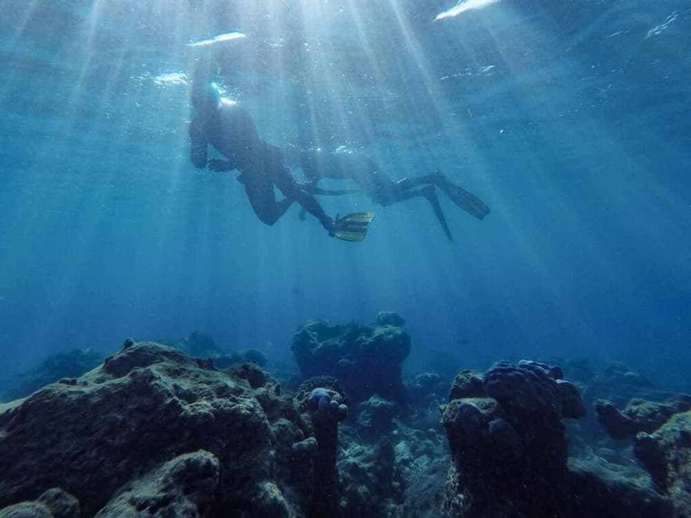 One The Island - View 25