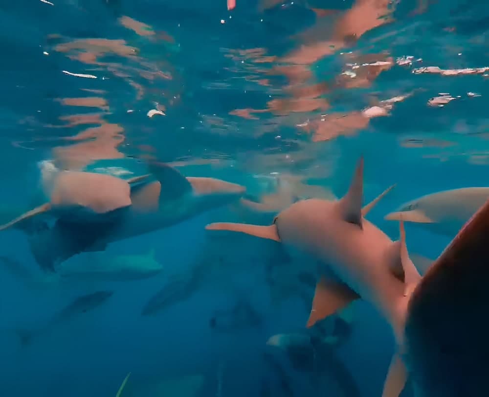 Noah Private Beach House - View 18