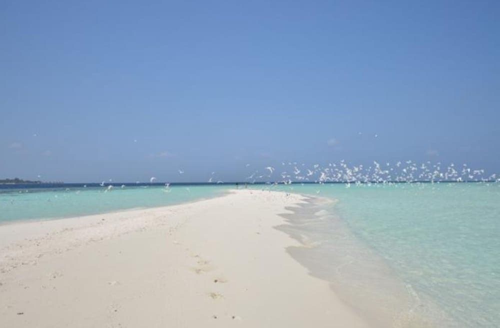 Beach Residence - View 28