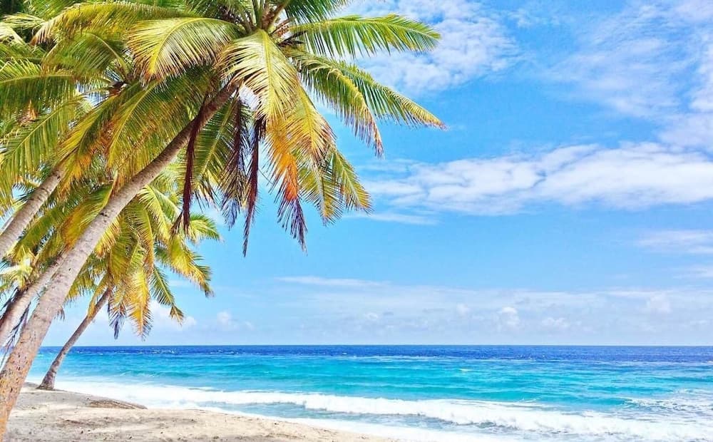 Equator Residence - View 15