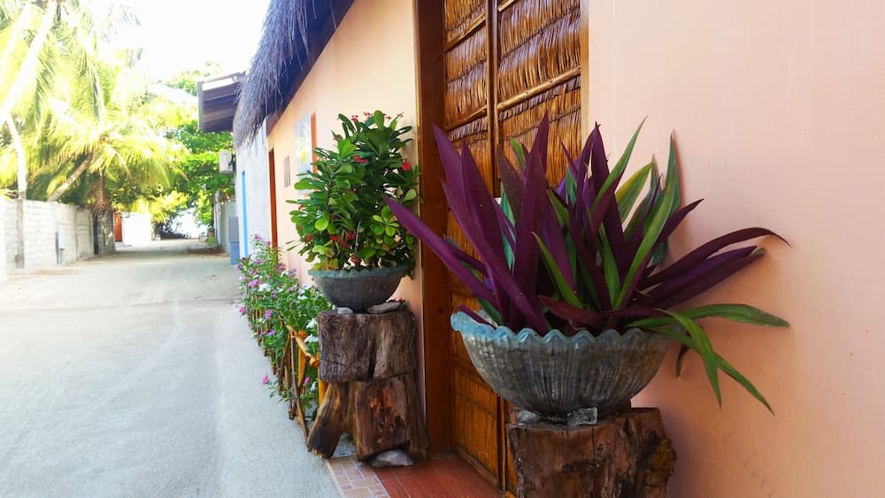 Royal Inn Rasdhoo - View 43