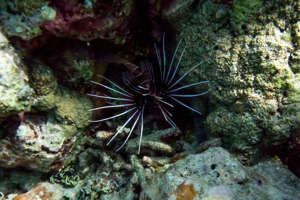 Detour Beach View - View 41