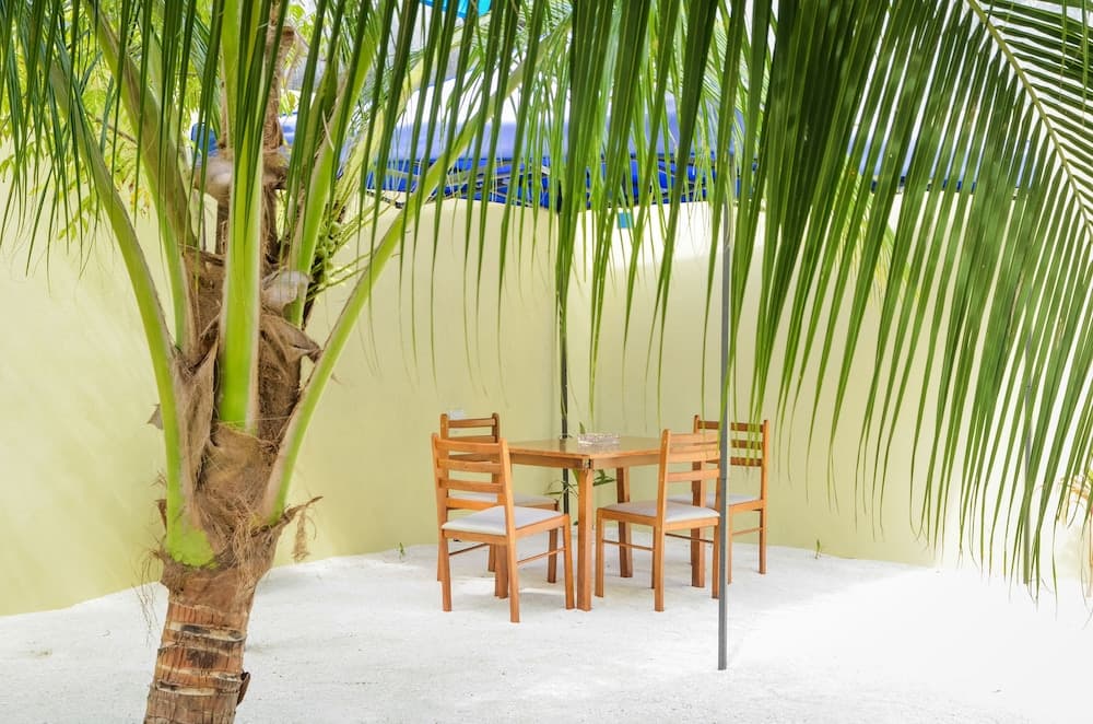 Whale Shark Inn Maldives - View 18