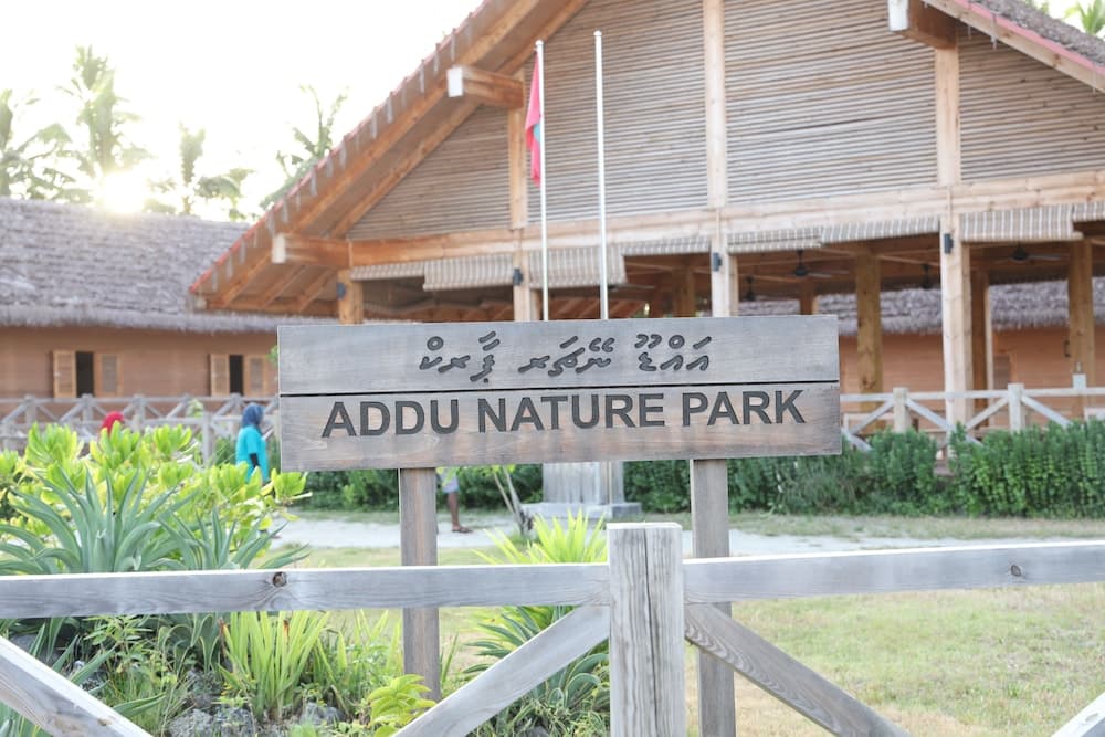 Clove Beach - View 19