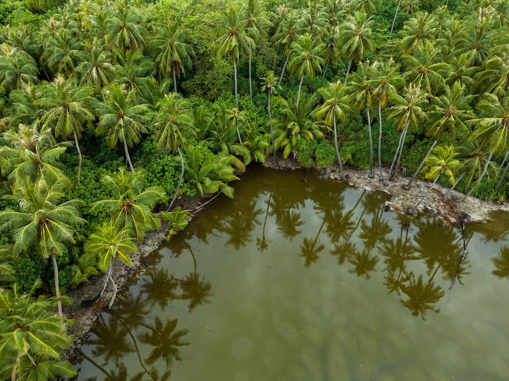 Island Zephyr - View 18