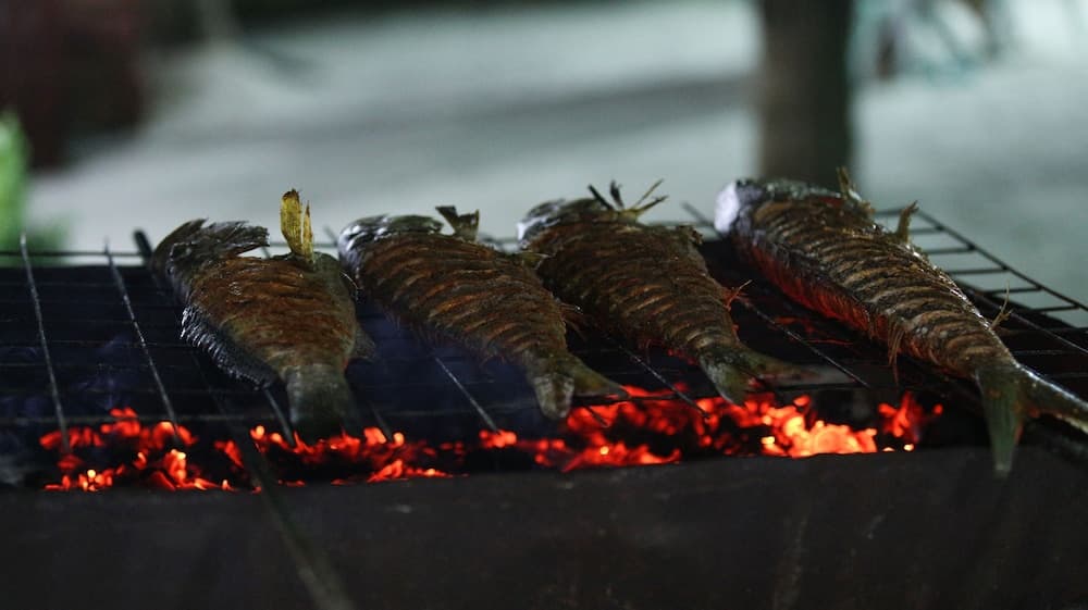 Dhigurah Retreat Beach - View 20