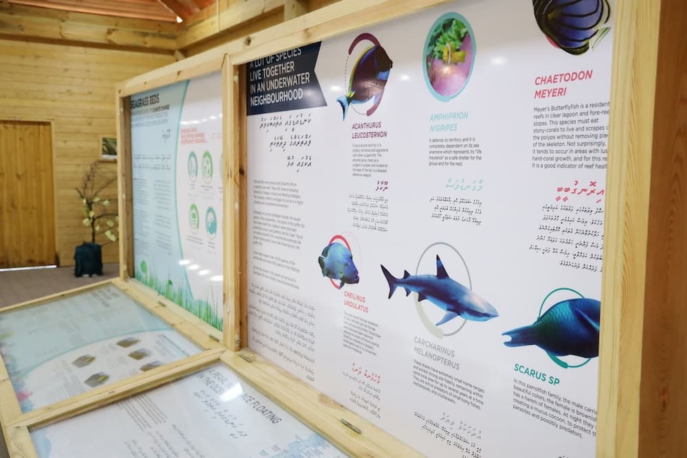 Clove Beach - View 21