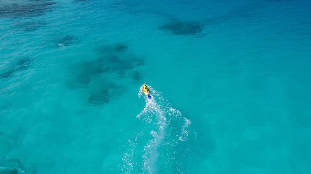 Taj Exotica Resort And Spa - View 66