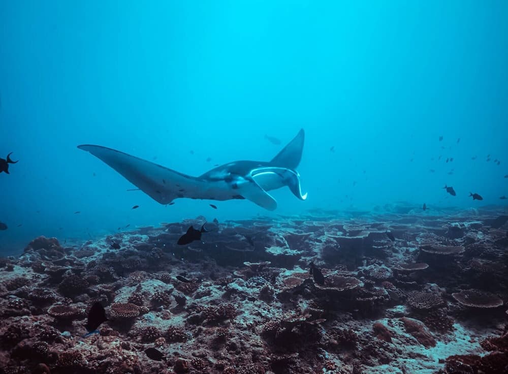 Endheri Sunset - View 39