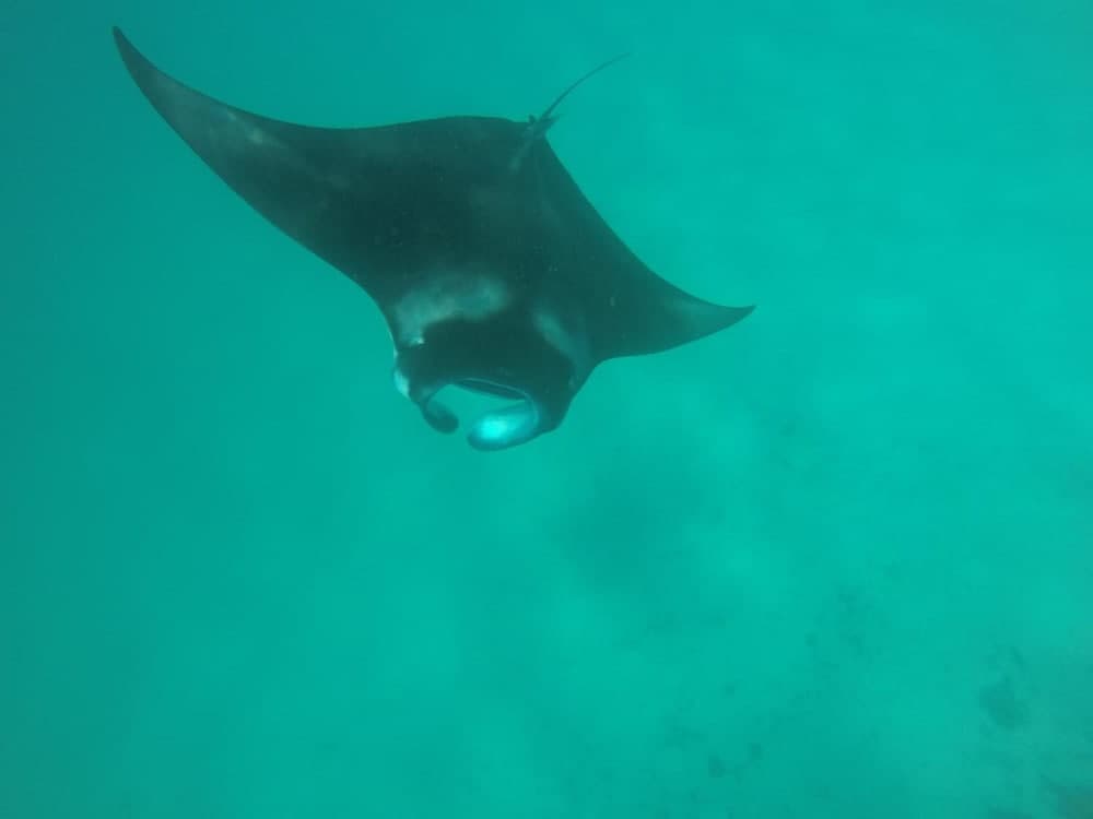 Golhaa View Inn By TES - View 51