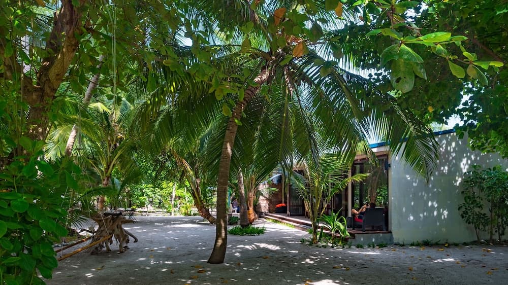 LVIS blancura - View 25