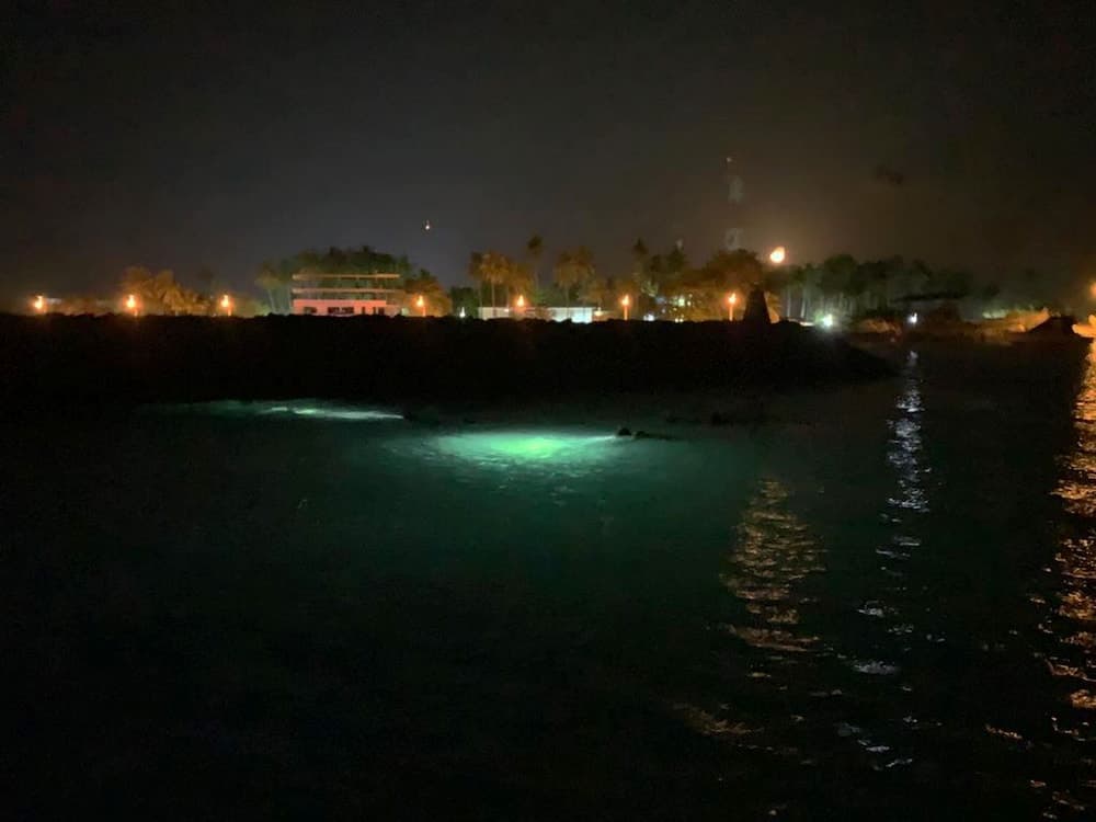 Adroit Beach Inn - View 150