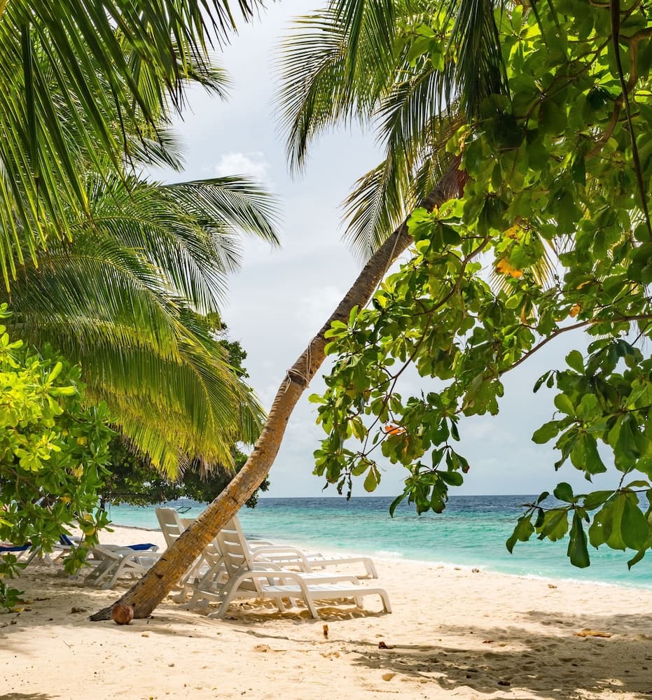 LVIS blancura - View 15