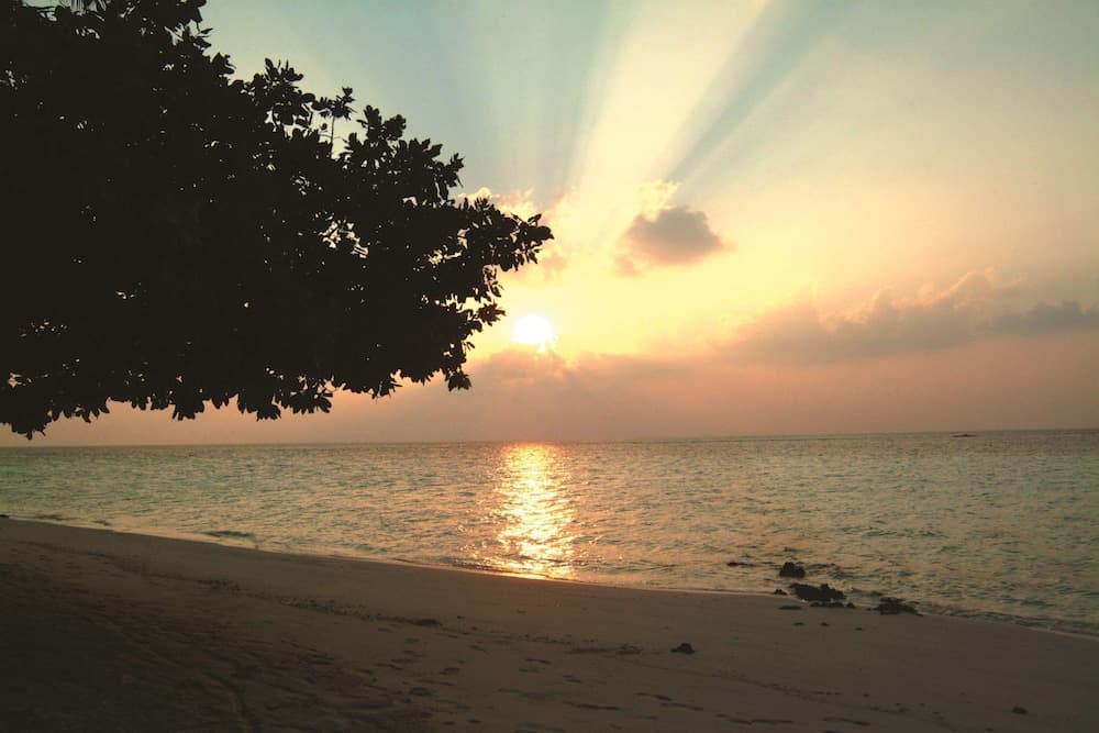 Biyadhoo Island Resort - View 48