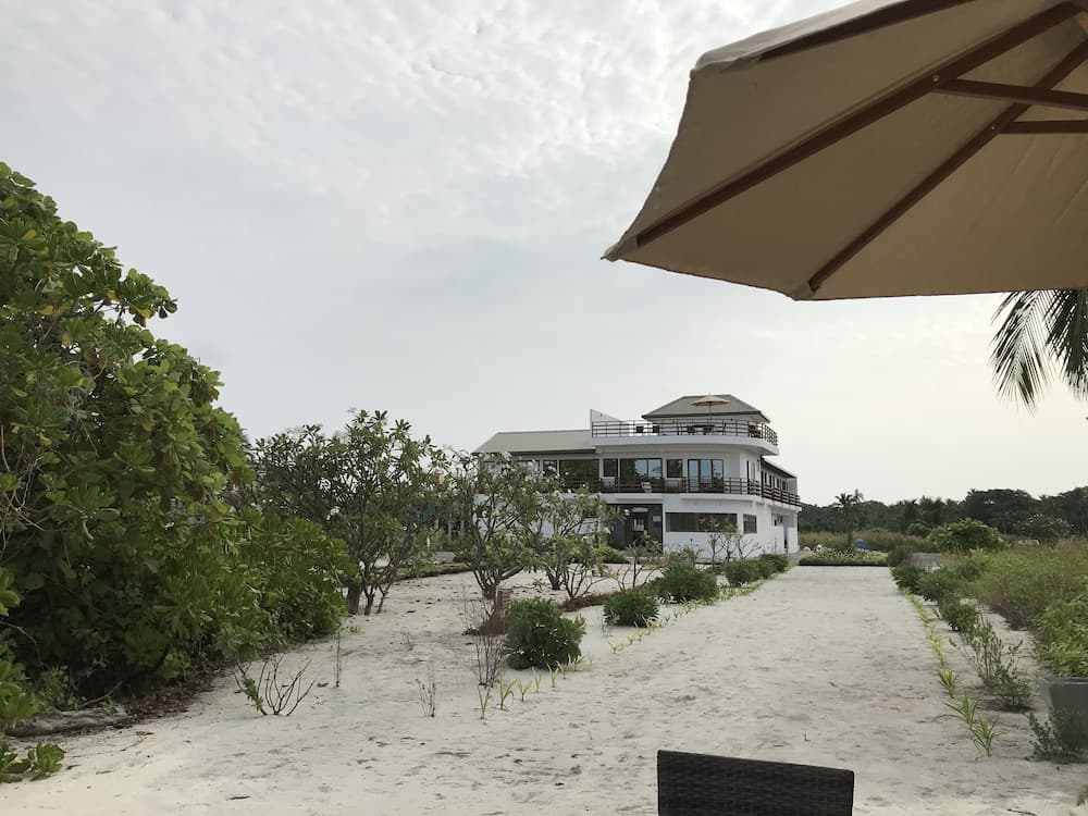 Olive Goidhoo - View 27