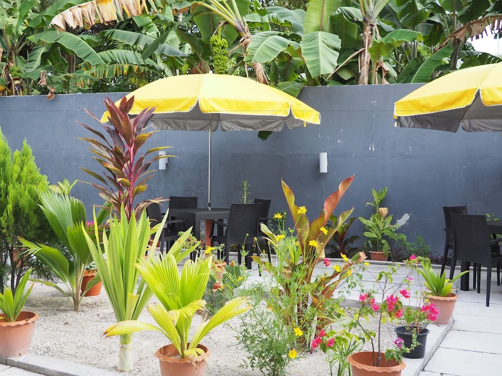 Equator HomeStay - View 30