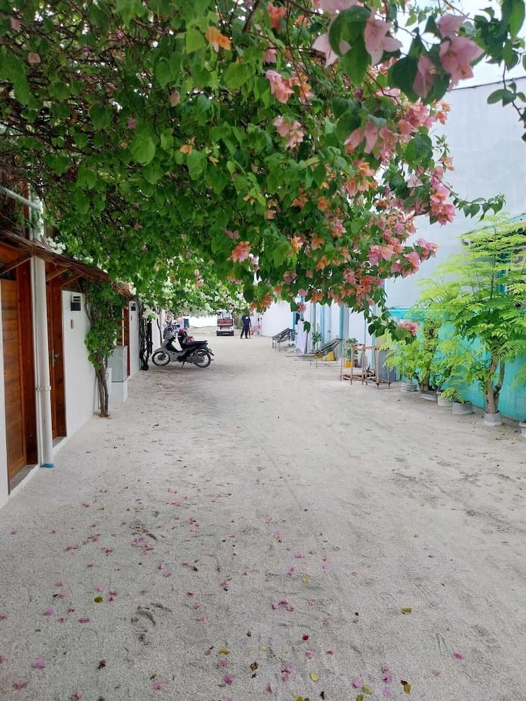 Navaya Dhiffushi - View 17