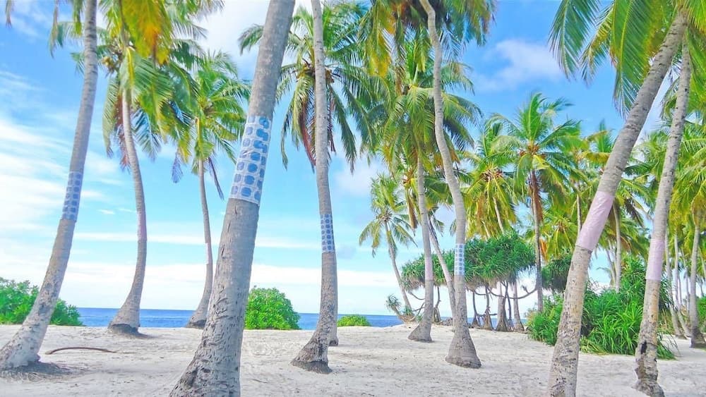 Equator Residence - View 14