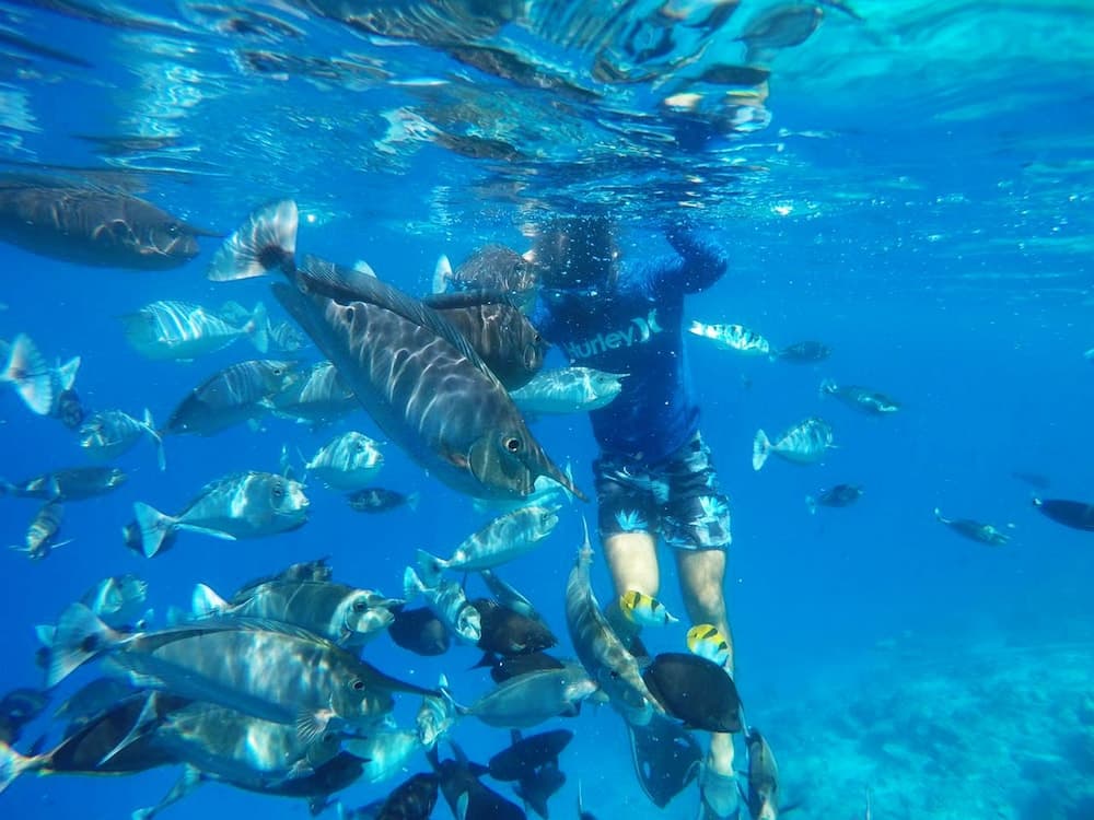 Adroit Beach Inn - View 22