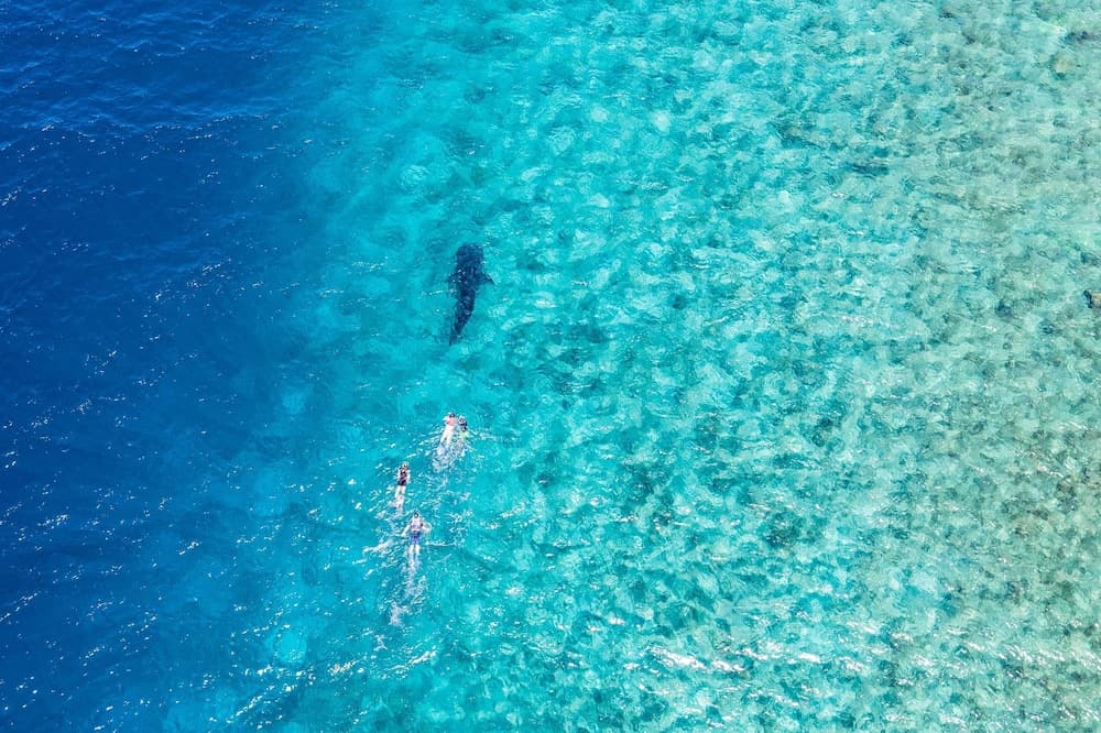 LUX* South Ari Atoll - View 160