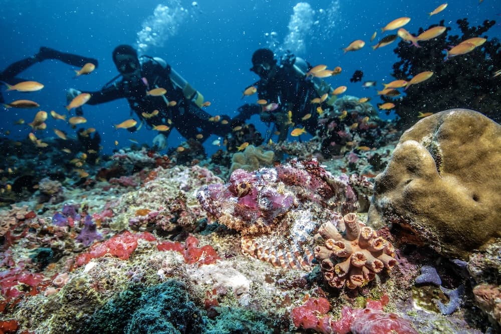 ROBINSON NOONU - All inclusive - View 58