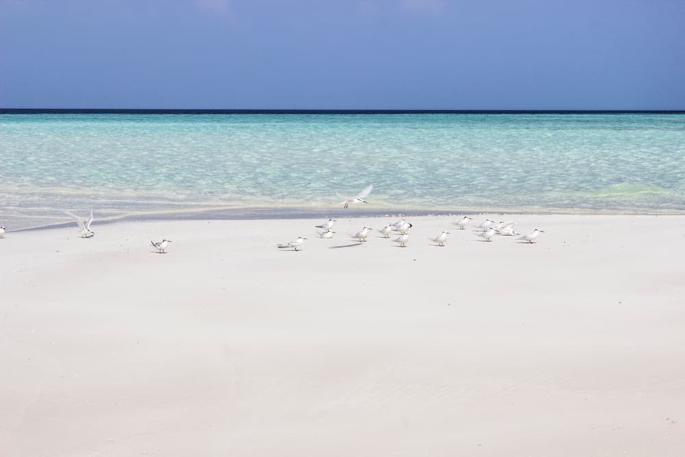 Hakuna Maldives - View 19