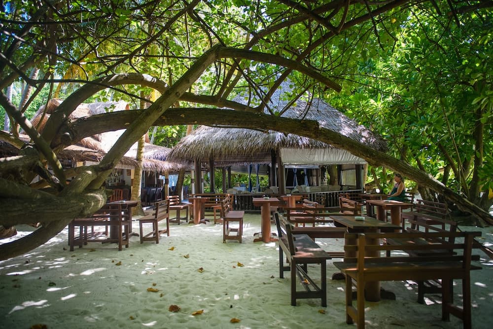 Biyadhoo Island Resort - View 21