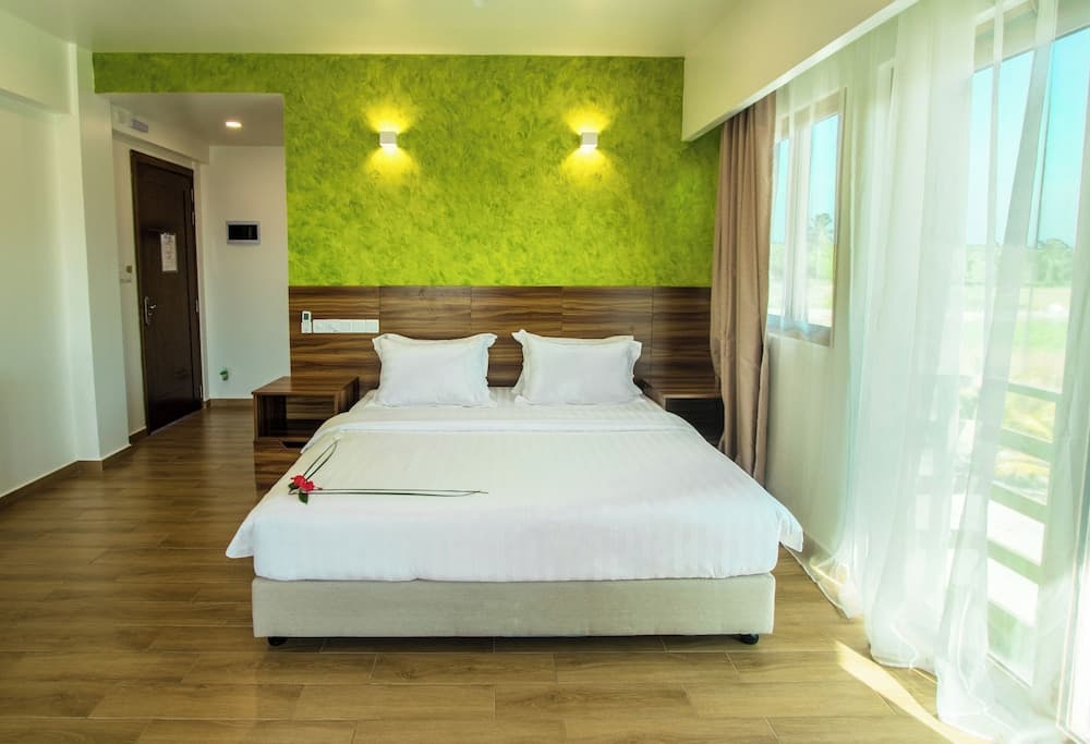 Olive Goidhoo - View 13