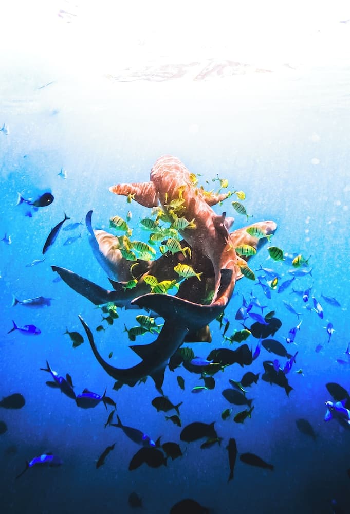 ARIA Beach Ukulhas - View 27