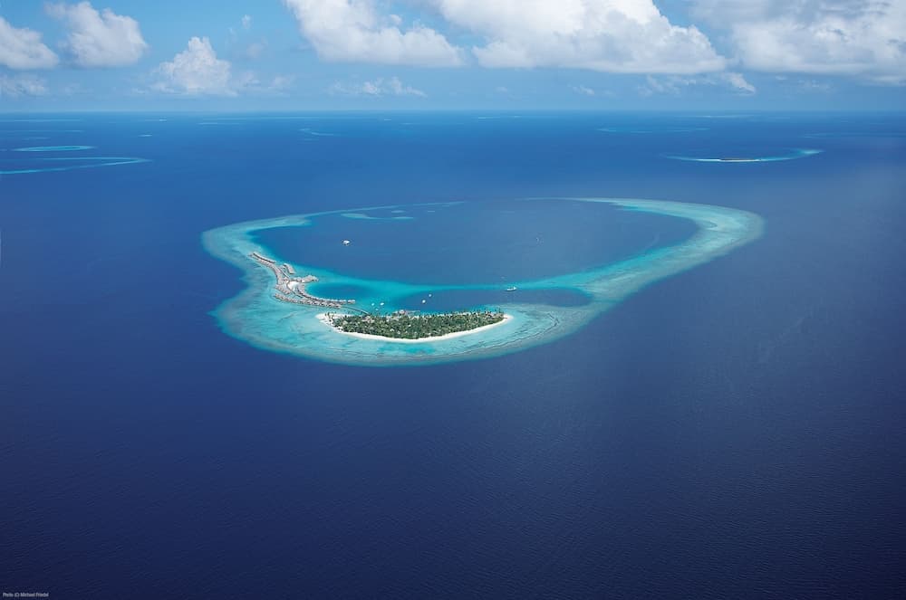 Constance Halaveli - View 162