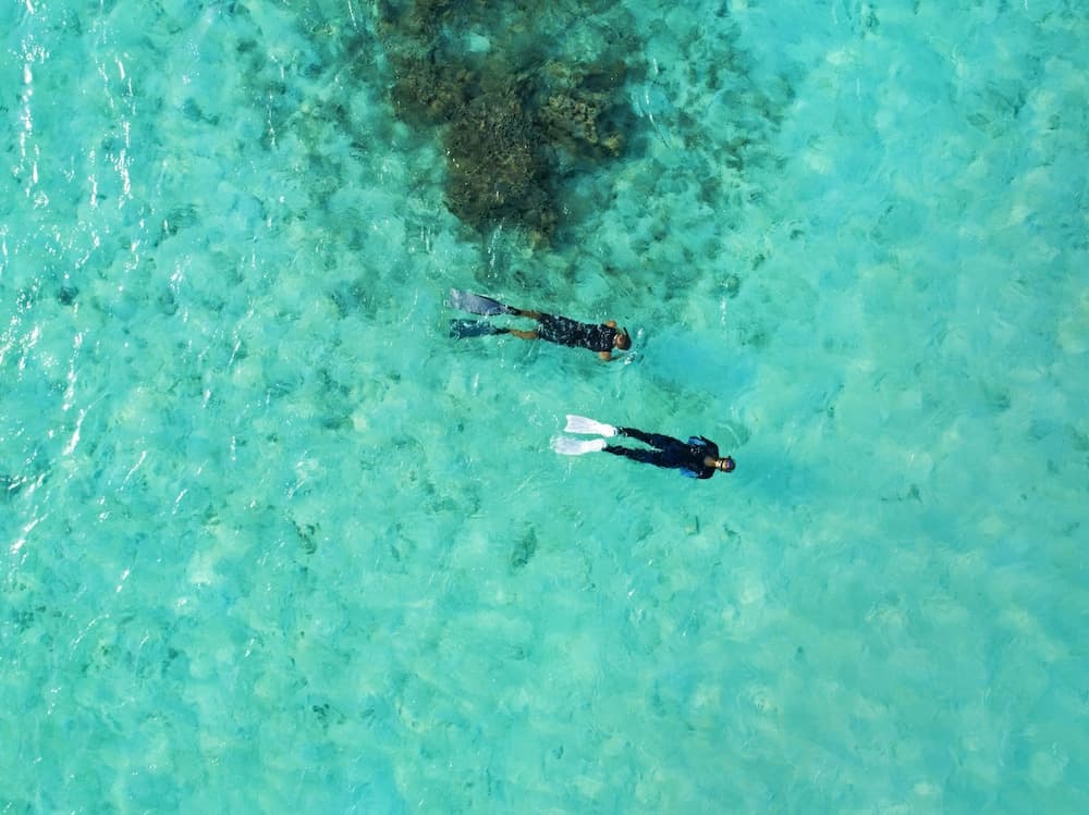 Taj Coral Reef Resort & Spa Maldives – A Premium All Inclusive Resort - View 71