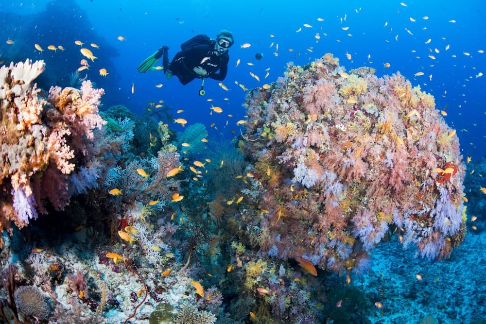 Sandies Bathala - View 28