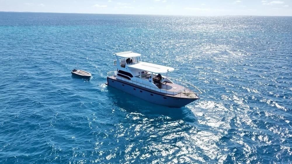 Odyssey of sunny side - View 7