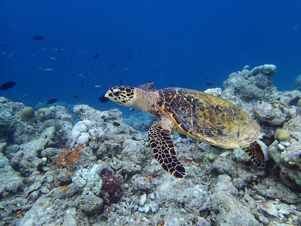 Wunderbar Inn - View 15