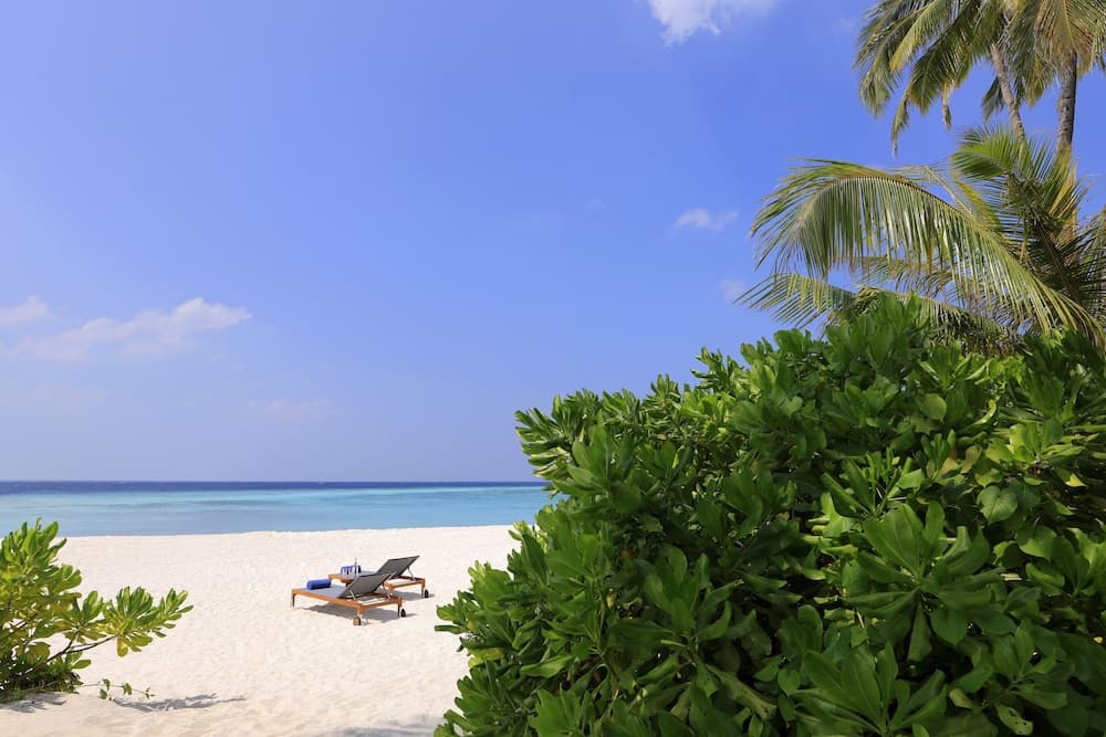 Avani+ Fares Maldives Resort - View 52