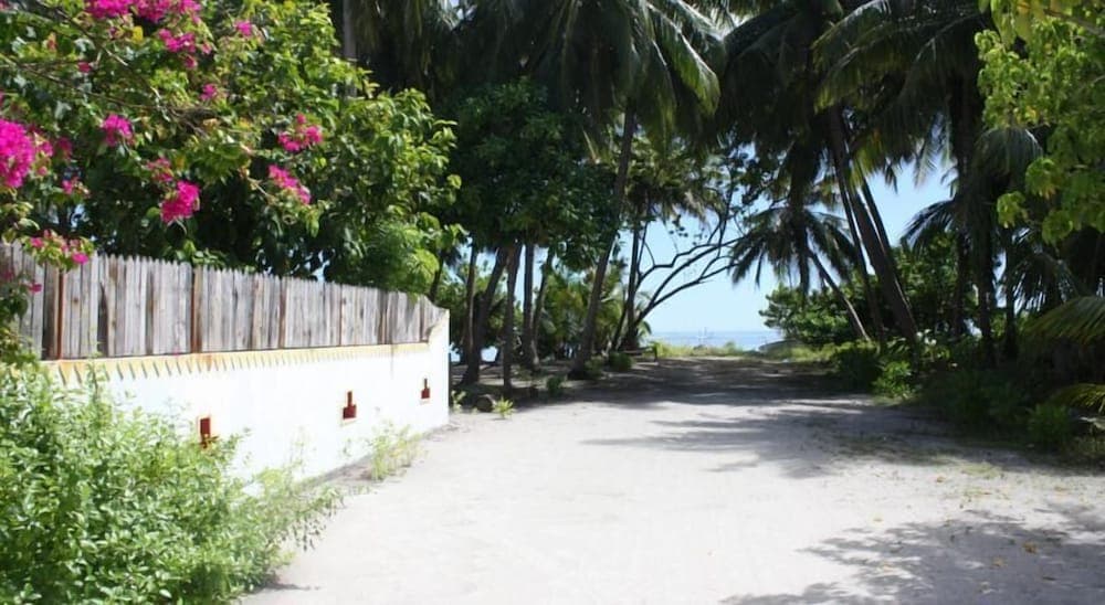 Pearl Beach View - View 6
