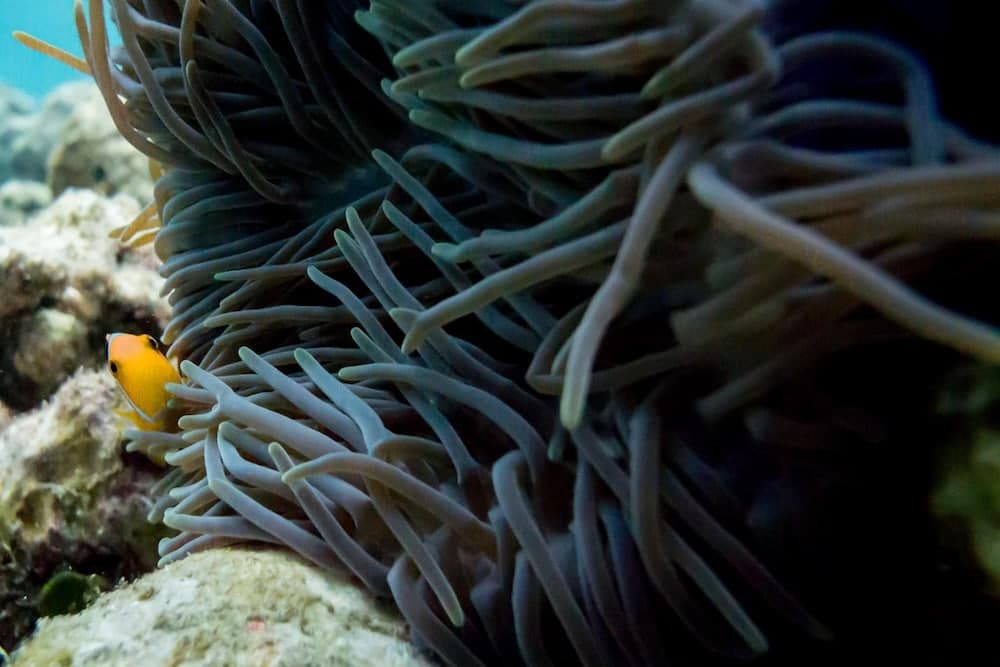 Detour Beach View - View 47