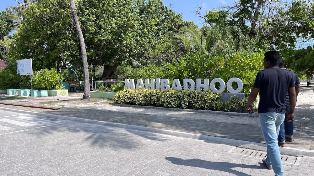 Liberty Guest House Maldives - View 259