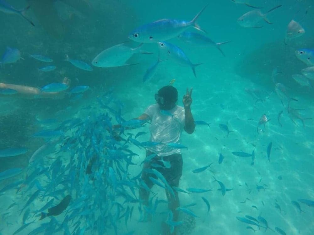 Thila Farm View Guest House - View 21