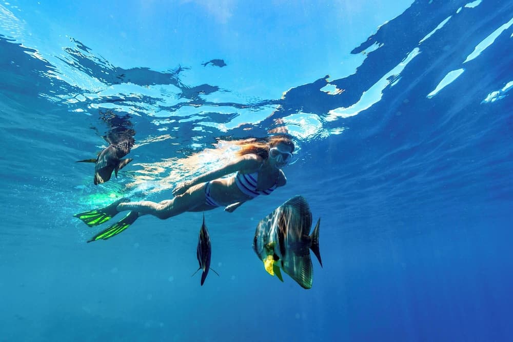 Sheraton Maldives Full Moon Resort & Spa - View 91